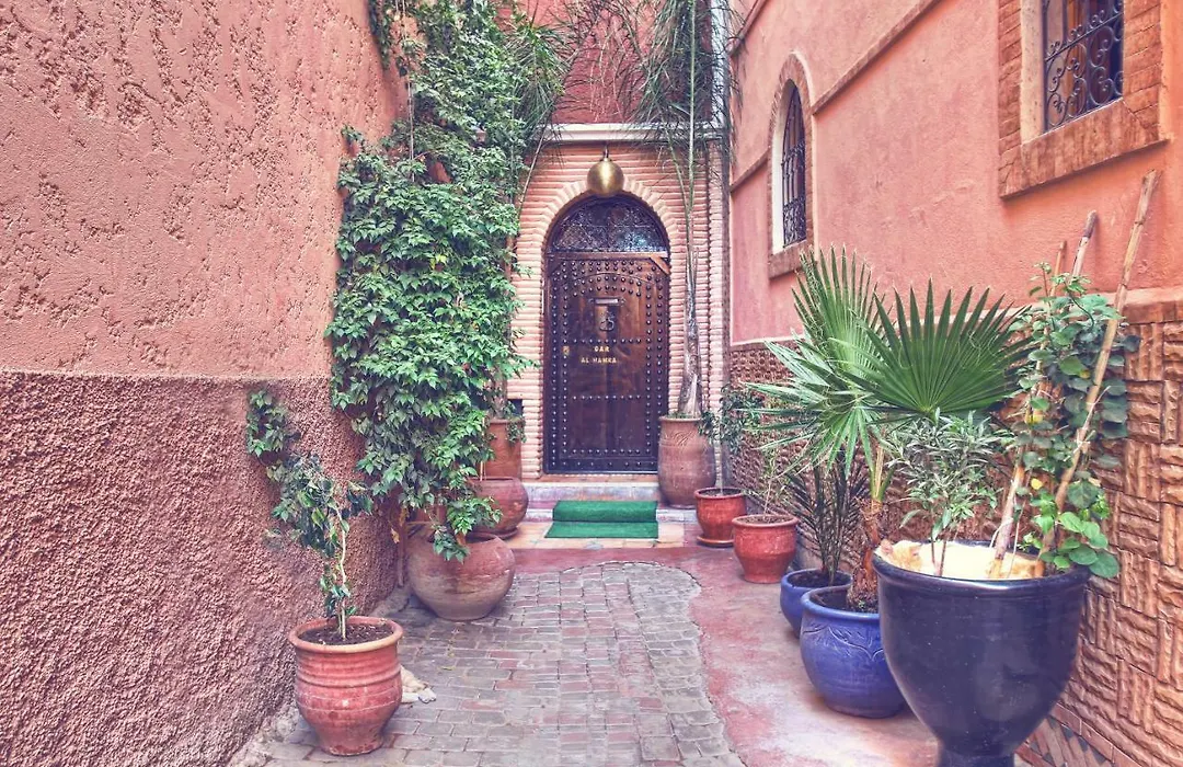 Riad ELIZZI-1