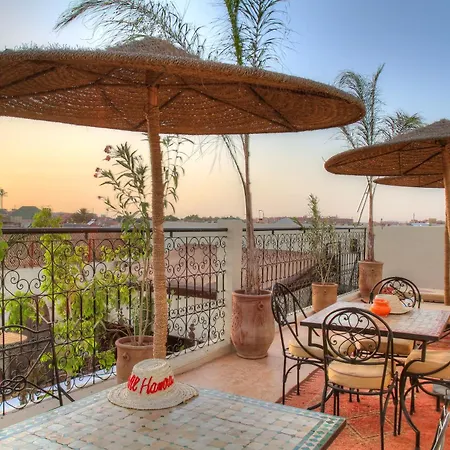 Riad ELIZZI-3